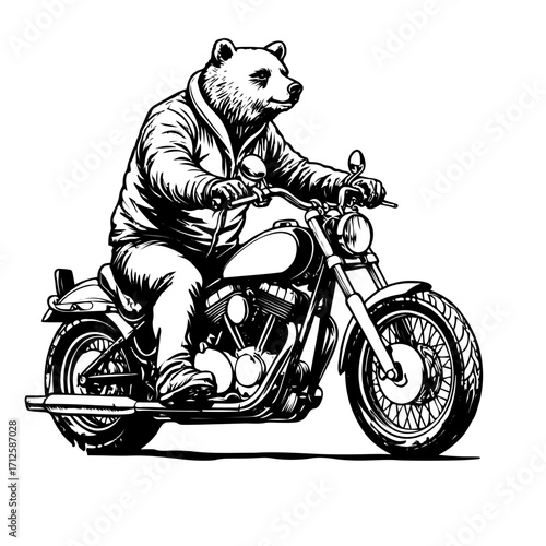 bear motorcycle on a white background