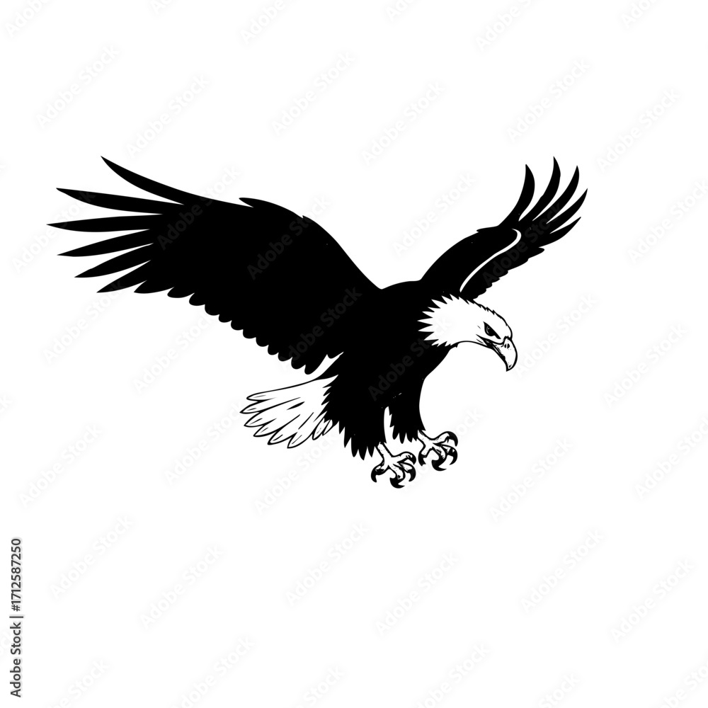 Obraz premium eagle vector illustration