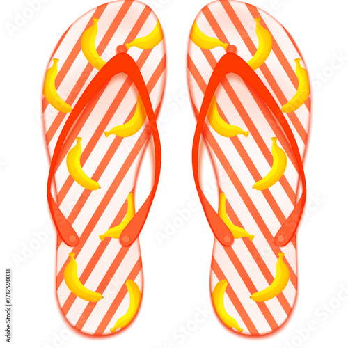 colorful flip flops vector