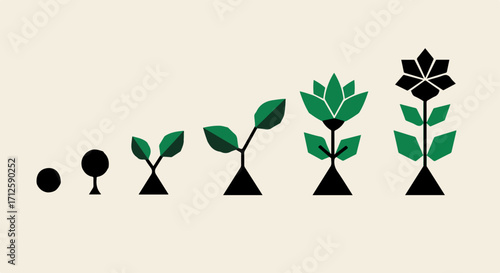 Growth stages display development, showing seed germination and plant emergence, and also flower blossoming on beige surface. Growth stages visualization includes plant progress from seed to flower.