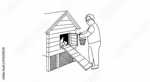 Gathering eggs from chicken coop with person collecting eggs into bucket, chicken coop and fresh eggs. Collecting eggs inside of coop is farm lifestyle.