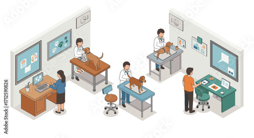 Modern veterinary clinic isometric design featuring vets examining dogs and office setup