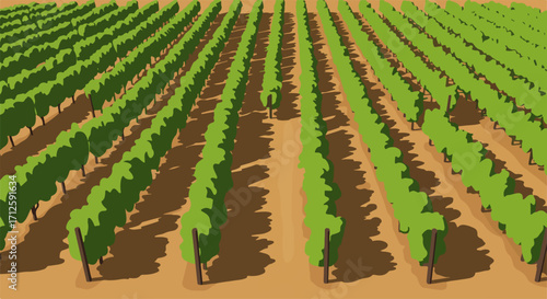 Row of vines in a vineyard, showing agricultural landscape. Vineyards with row of vines offer rows of vines, perfect for agriculture.