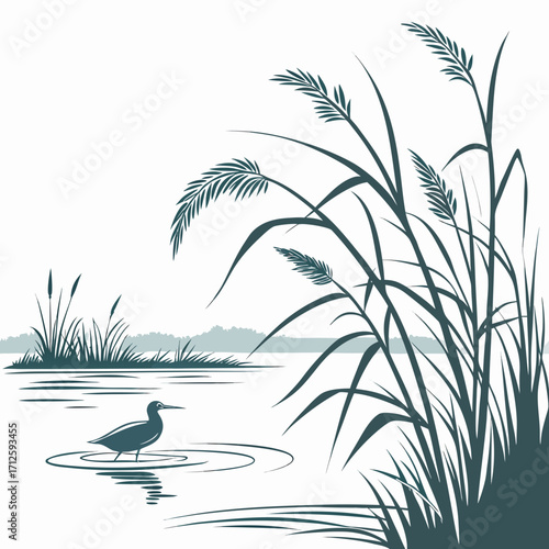 Serene lakeside scene with a solitary bird among tall reeds and cattails