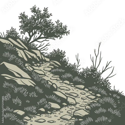 A winding rocky hiking trail ascends a hillside covered with sparse vegetation and trees