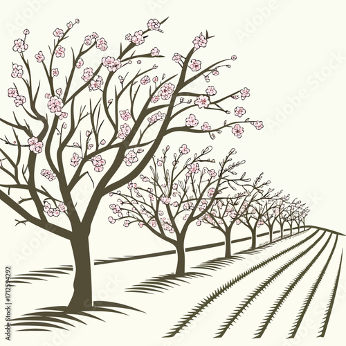 Row of blooming cherry blossom trees in a stylized orchard with pink flowers and patterned ground