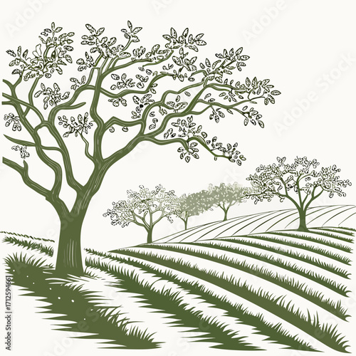 Stylized green trees and rolling hills with rows of grass and foliage in a minimalist illustration