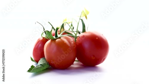 Ripe red tomatoes with flowers isolated on white background