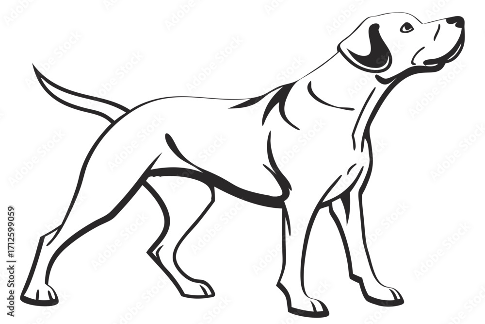 Obraz premium vector illustration of a dog