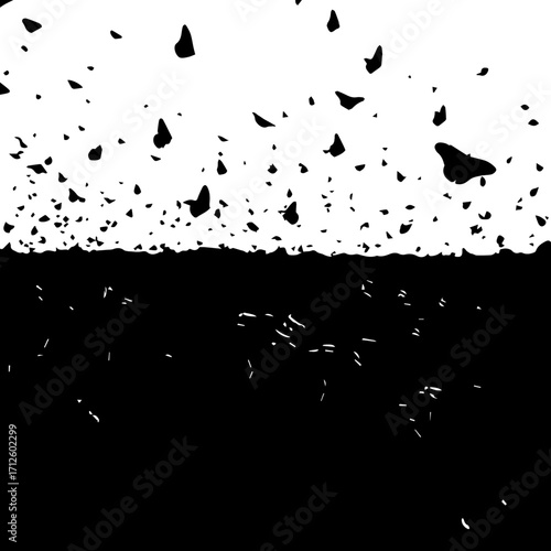 Abstract Black and White Grunge Texture with Scattered Debris
