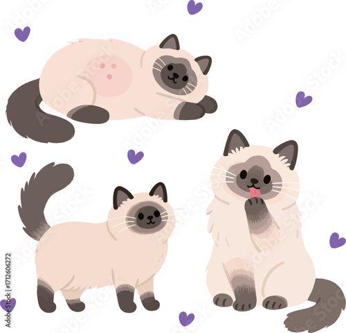 Three adorable fluffy cats surrounded by playful hearts.