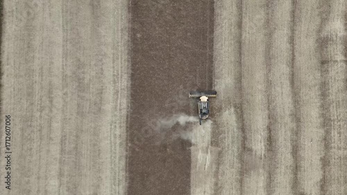 Aerial drone footage of a combine harvester cutting a golden wheat field, showcasing modern agriculture, grain harvest, rural landscape, and seasonal farming productivity.
