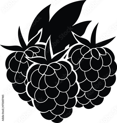 Vector illustration of a fresh purple bunch of grapes with green leaves, ripe and ready for eating or making wine