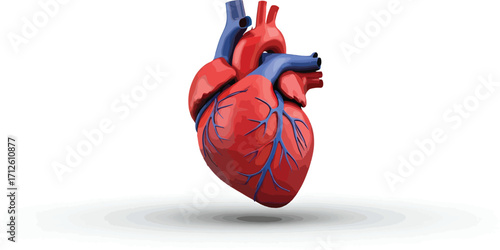 Detailed 3D rendering of a vibrant human heart, illustrating intricate biological anatomy, a symbol of life, health, and medical science