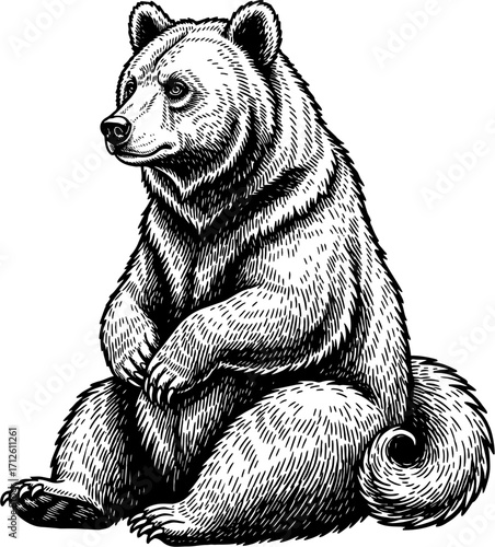 bear-9.eps