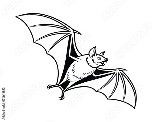Nocturnal animal bat flying under moonlight in dark sky