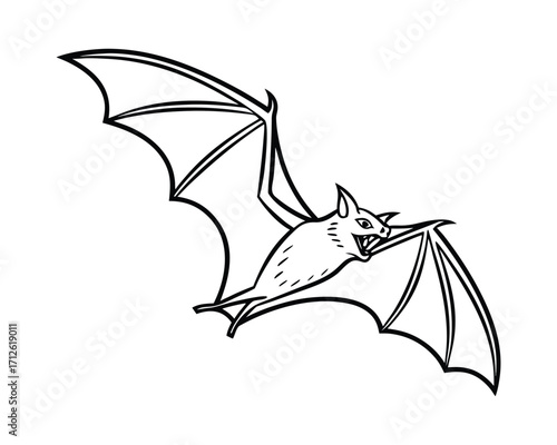 Nocturnal animal bat flying under moonlight in dark sky
