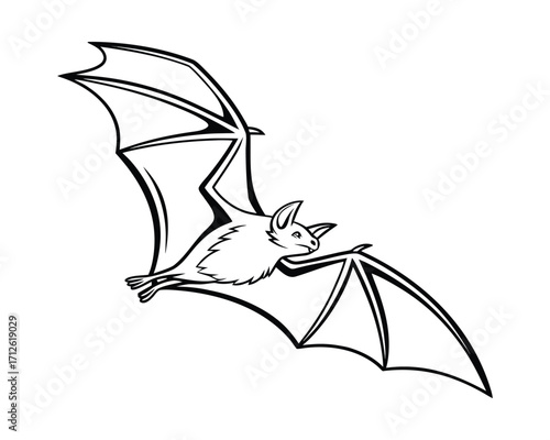 Nocturnal animal bat flying under moonlight in dark sky