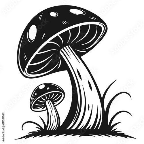 Vector art of mushroom vector illustration fungi drawing concept for decoration