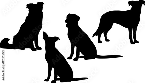 silhouette dog postures act black dog shapes monochrome color on white background