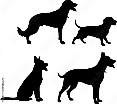 silhouette dog breed postures act black dog breed shapes monochrome color on white background