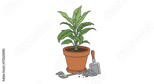 Hand drawn houseplant in pot gardening, growing, hobby, nature, botanical, decoration, interior, lifestyle