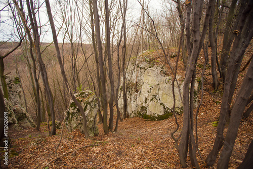 Landscape in Dolina Będkowska,  Jura Krakowsko-Częstochowska, Poland