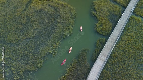 Aerial shot of 3 kayakers , kayaking in lowland marsh in charleston sc