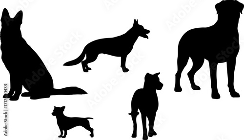silhouette dog breed postures act black dog breed shapes monochrome color vector on white background