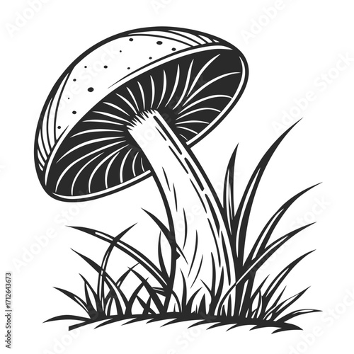 Vector art of a poisonous toadstool growing in the grass