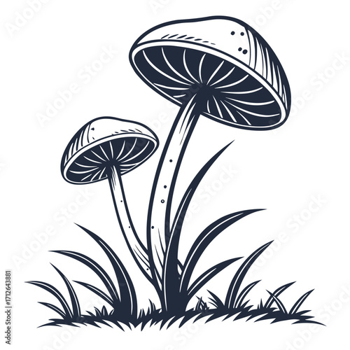 Vector art of two black and white mushrooms with grass, a simple illustration