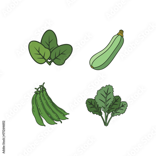 Icon Set of spinach, zucchini, peas, and mustard greens. Keto Diet, healthy and nutritious vegetables