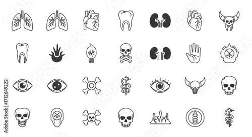 Medical Icons Set  Anatomy Skull Bones Organs Teeth and Health Related Symbols Vector Illustration
