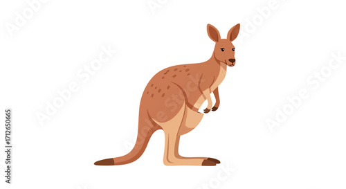 Cartoon kangaroo standing upright, brown fur, visible pouch, flat vector illustration style