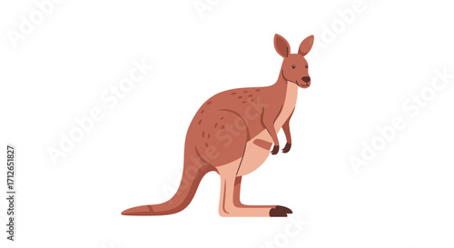 Reddish-Brown Kangaroo in Standing Pose, Detailed Illustration