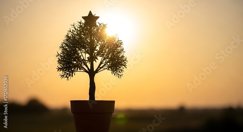 Small Potted Christmas Tree Silhouette Against Golden Sunset Sky.