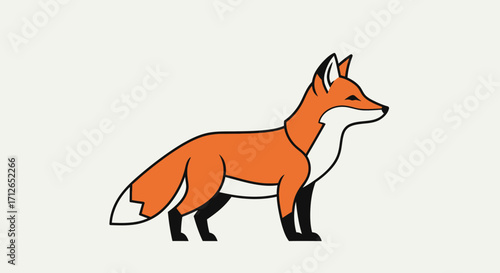 Vibrant orange fox vector art, standing profile, white underbelly, black paws, pointy ears
