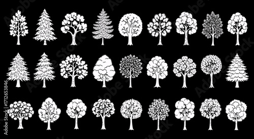 Set of Various Tree Icons and Illustrations for Design Web or Print Projects