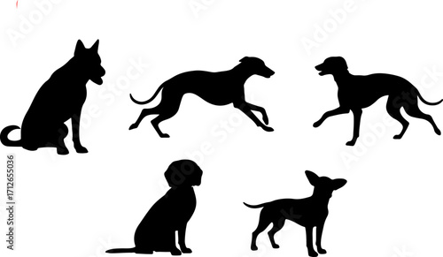 silhouette dog breed postures act black dog breed shapes monochrome color vector