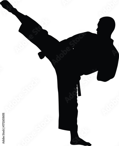 Silhouette of martial artist performing high kick, karate fighter in action, combat sports training, isolated athlete pose on white background