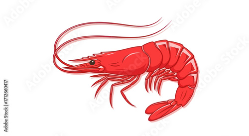 Vibrant red cooked shrimp with long antennae illustration.