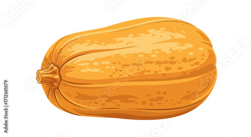 A single whole ripe butternut squash illustration.