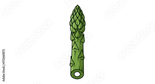 Single green asparagus spear hand drawn illustration.