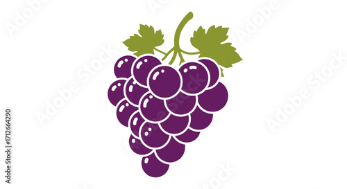 Simple vector illustration of a purple grape bunch.