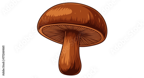 Detailed hand drawn illustration of a single brown mushroom.