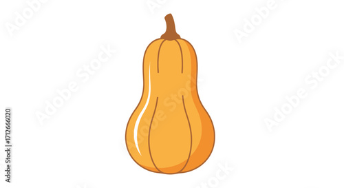 Butternut squash isolated on white background.