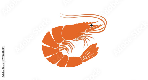 Simple vector illustration of a single orange shrimp.