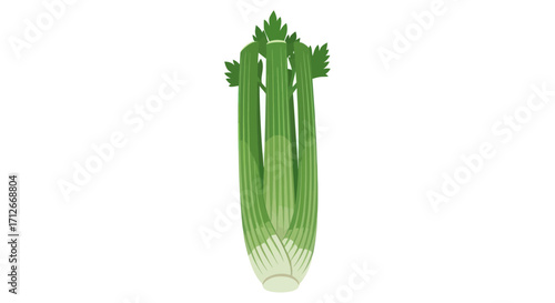 A fresh bunch of green celery stalks with leaves.