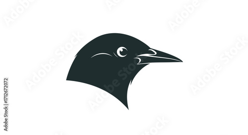 Minimalist dark silhouette of a bird head profile showing its sharp beak and intelligent eye.