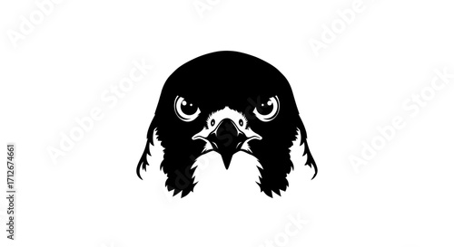 Intense Black Falcon Head Front View Logo Design.